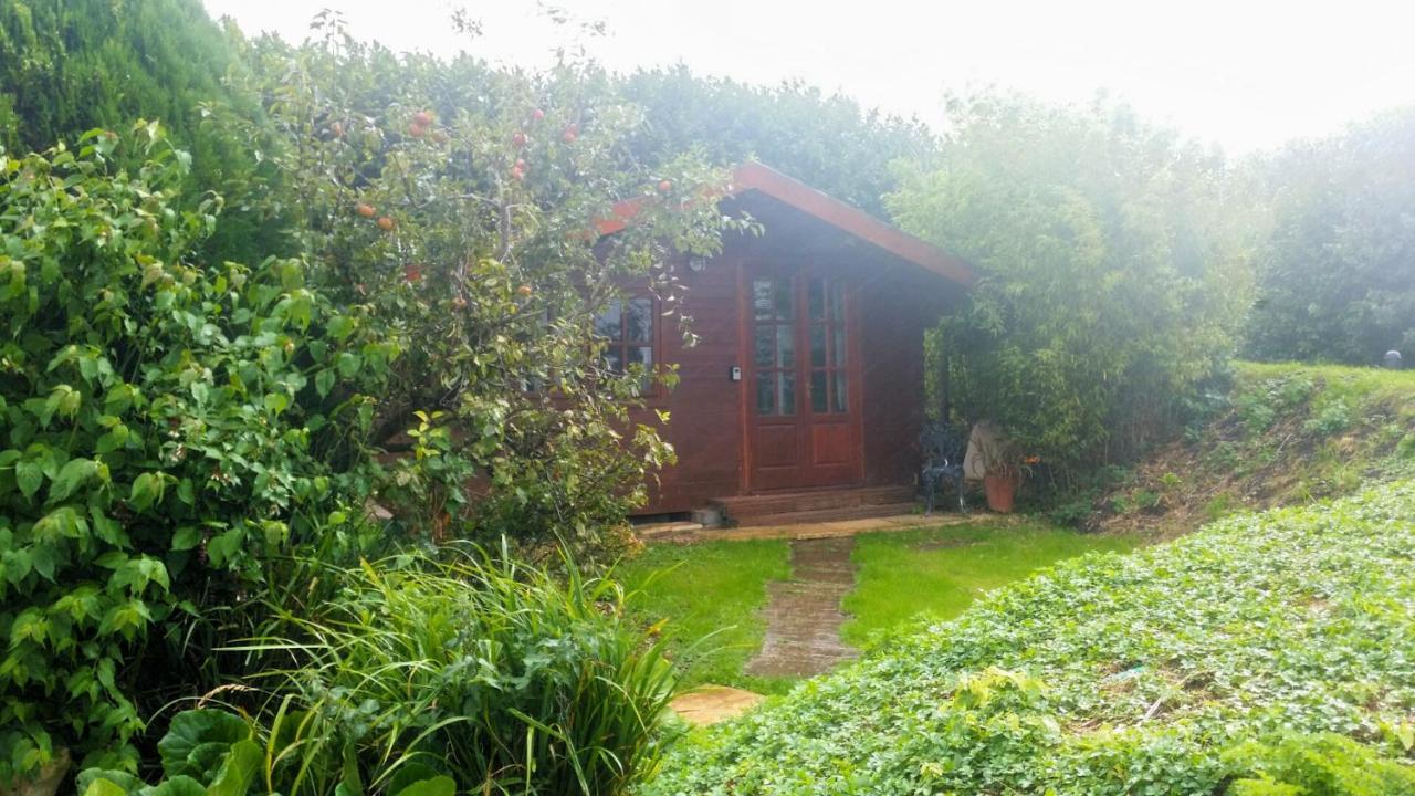 Bridge Farm Guesthouse Rooms Dundry Exteriér fotografie